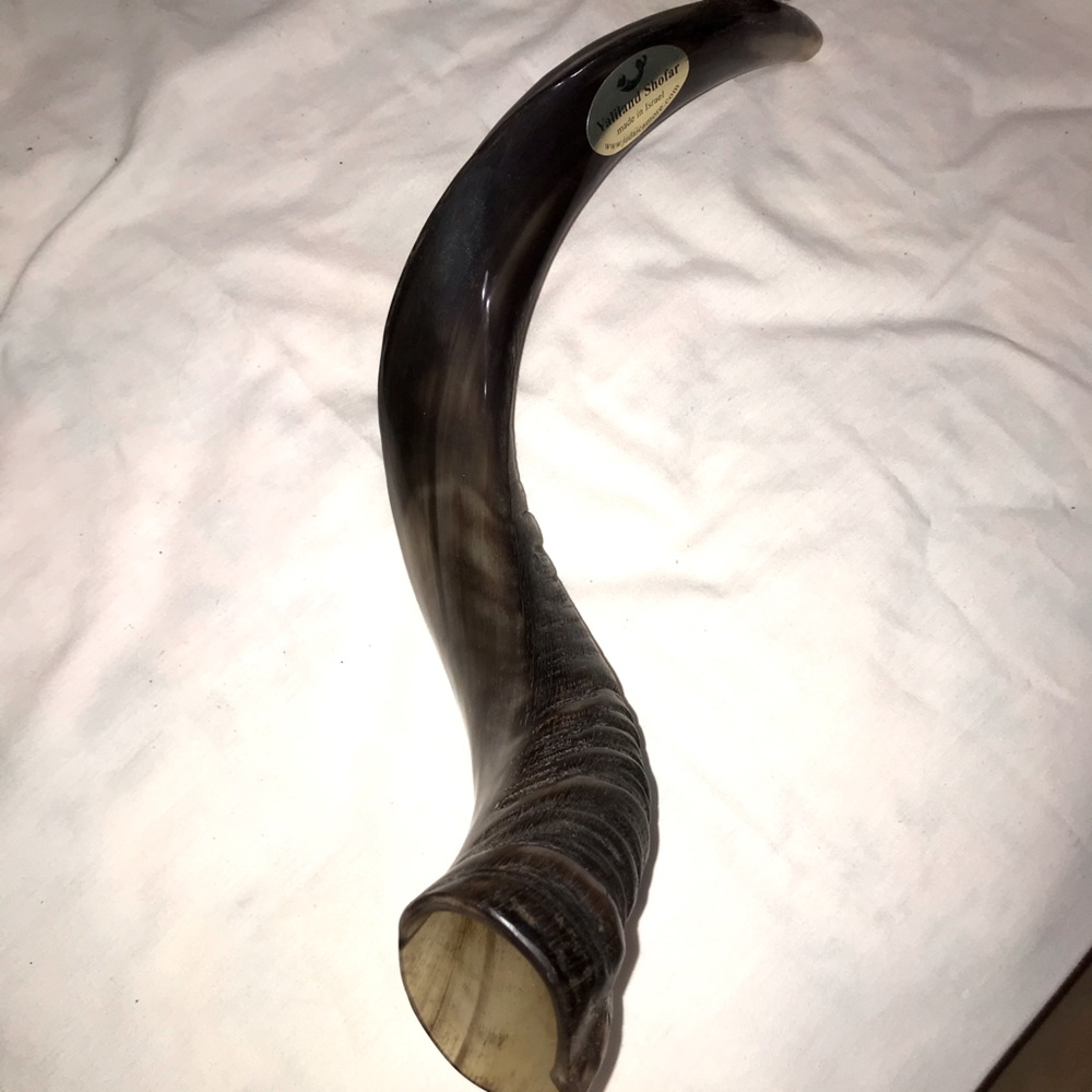 Yaliland Shofar horn from Israel